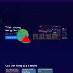 纯越南语版交易所系统/区块链交易所/越南交易所