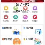 即拼商城/拼团商城/拼团返利商城/二合一商城/前端vue源码