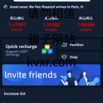 双语言微盘系统/微交易源码/外汇交易/K线正常