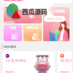 九套UI可切换海外抢单刷单系统/订单自动匹配系统/分组杀/连单控