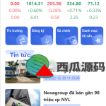 VUE越南股票源码