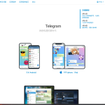 假飞机/telegram源码/两份一起